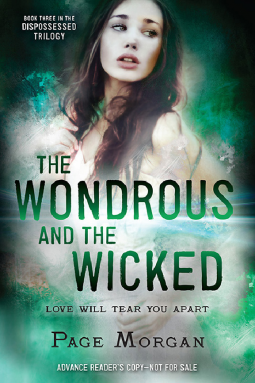 book cover for The Wondrous and the Wicked