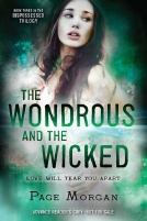 book cover for The Wondrous and the Wicked