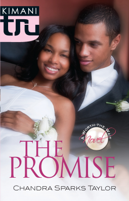 book cover for The Promise