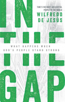 book cover for In the Gap