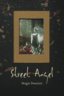 book cover for Street Angel