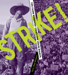 book cover for STRIKE!