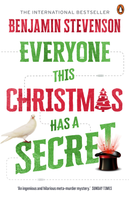 book cover for Everyone this Christmas has a Secret
