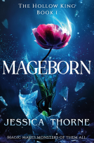 book cover for Mageborn