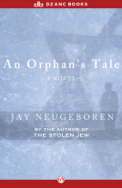 book cover for An Orphan's Tale