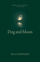 book cover for Dog and Moon