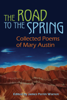 book cover for The Road to the Spring 