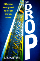 book cover for The Drop