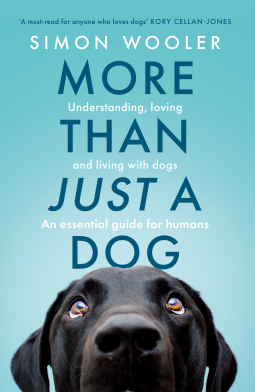 book cover for More Than Just a Dog