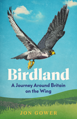 book cover for Birdland