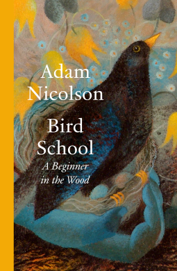 book cover for Bird School