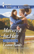 book cover for Maverick for Hire