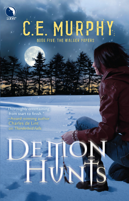 book cover for Demon Hunts