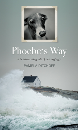 book cover for Phoebe's Way