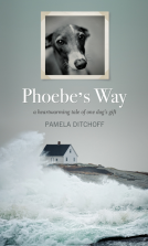 book cover for Phoebe's Way