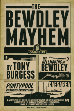 book cover for The Bewdley Mayhem