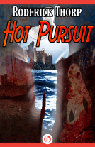 book cover for Hot Pursuit