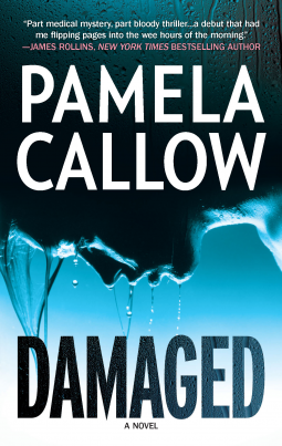 book cover for Damaged