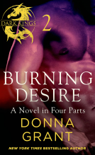 book cover for Burning Desire: Part 2