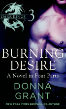book cover for Burning Desire: Part 3