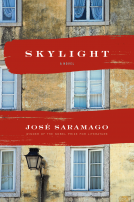 book cover for Skylight