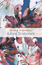 Couverture du livre pour Adieu Tristesses