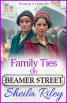 book cover for Family Ties on Beamer Street