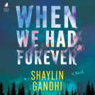 book cover for When We Had Forever