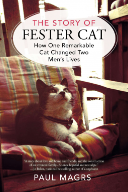 book cover for The Story of Fester Cat