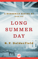 book cover for Long Summer Day