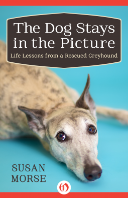 book cover for The Dog Stays in the Picture