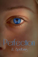 book cover for Perfection