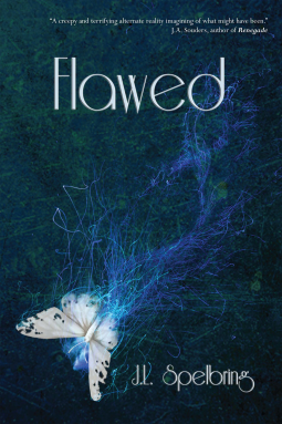 book cover for Flawed