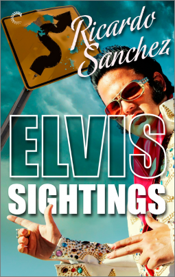book cover for Elvis Sightings