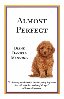 book cover for Almost Perfect