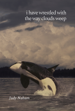 book cover for i have wrestled with the way clouds weep