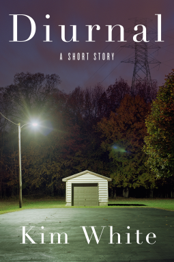 book cover for Diurnal
