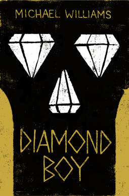 book cover for Diamond Boy