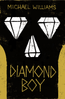 book cover for Diamond Boy