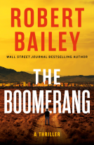 book cover for The Boomerang
