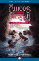 book cover for La isla de las sorpresas