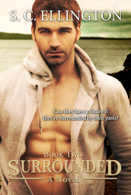 book cover for Surrounded