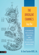 book cover for The Divergent Channels - Jing Bie