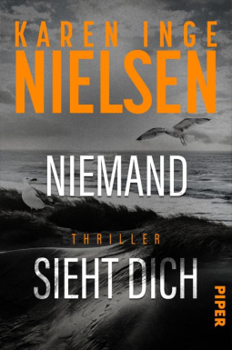 Buchcover für Niemand sieht dich