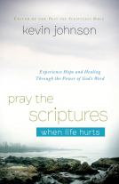 book cover for Pray the Scriptures When Life Hurts