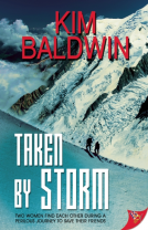 book cover for Taken by Storm