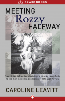 book cover for Meeting Rozzy Halfway