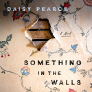 book cover for Something in the Walls