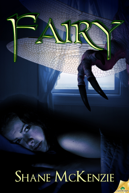 book cover for Fairy