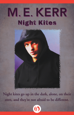 book cover for Night Kites